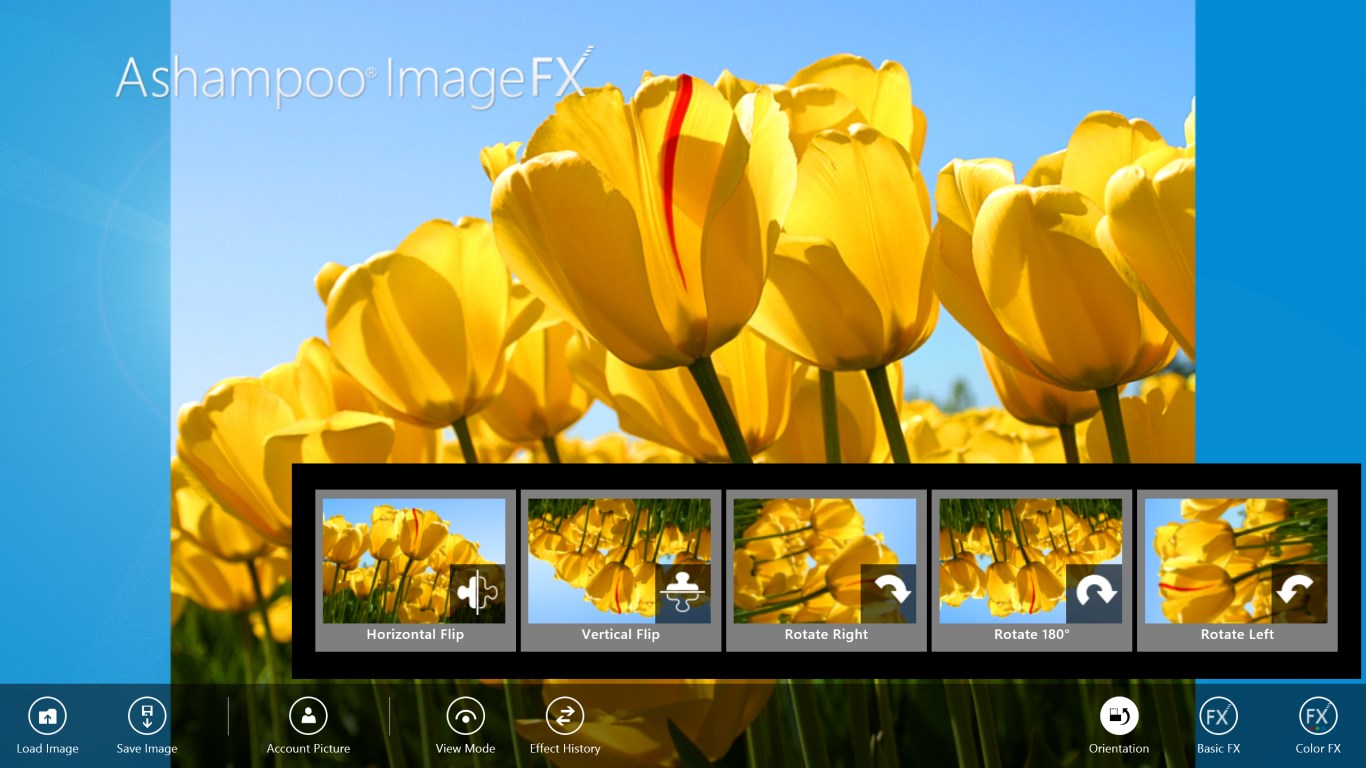 Ashampoo ImageFX for Windows 10