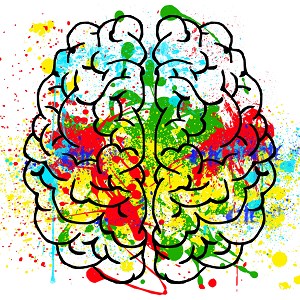 Descargar Yes Or No Quiz