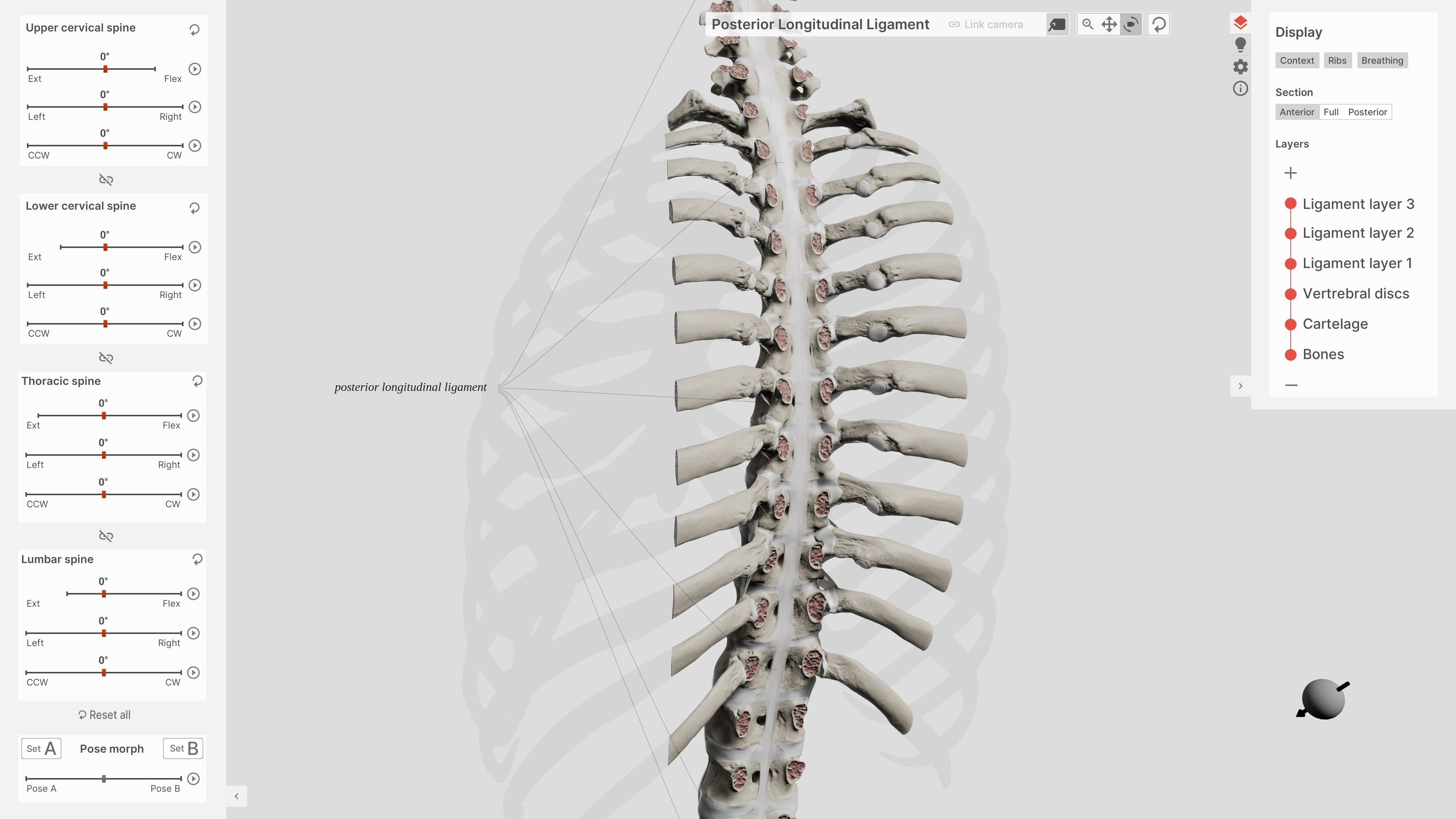 【图】Biomechanics of the Spine(截图3)