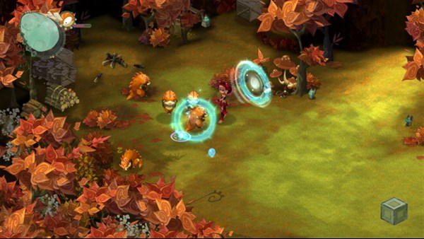 Islands of Wakfu ® — 4