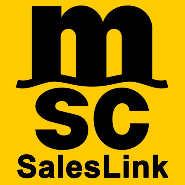 mediterranean shipping company's salesforce assistant for