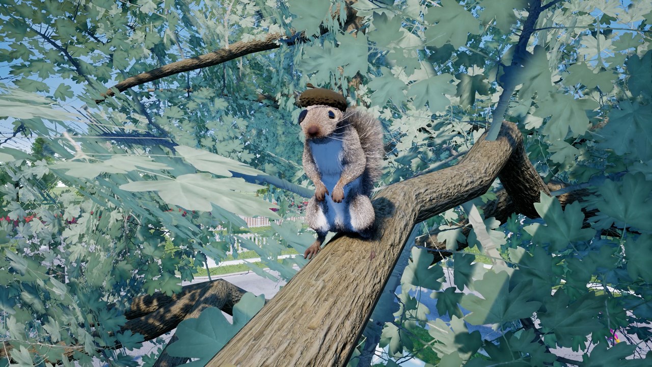 Squirrel with a Gun screenshot 3