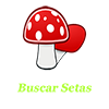 Buscar Setas