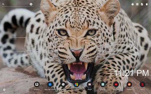 Leopard Wallpaper New Tab - Edge Add-on