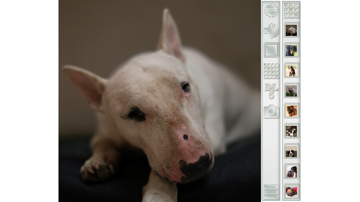 #1. Sliding Puzzle by Juan T. Pieterse (Windows) 由: Juan T. Pieterse