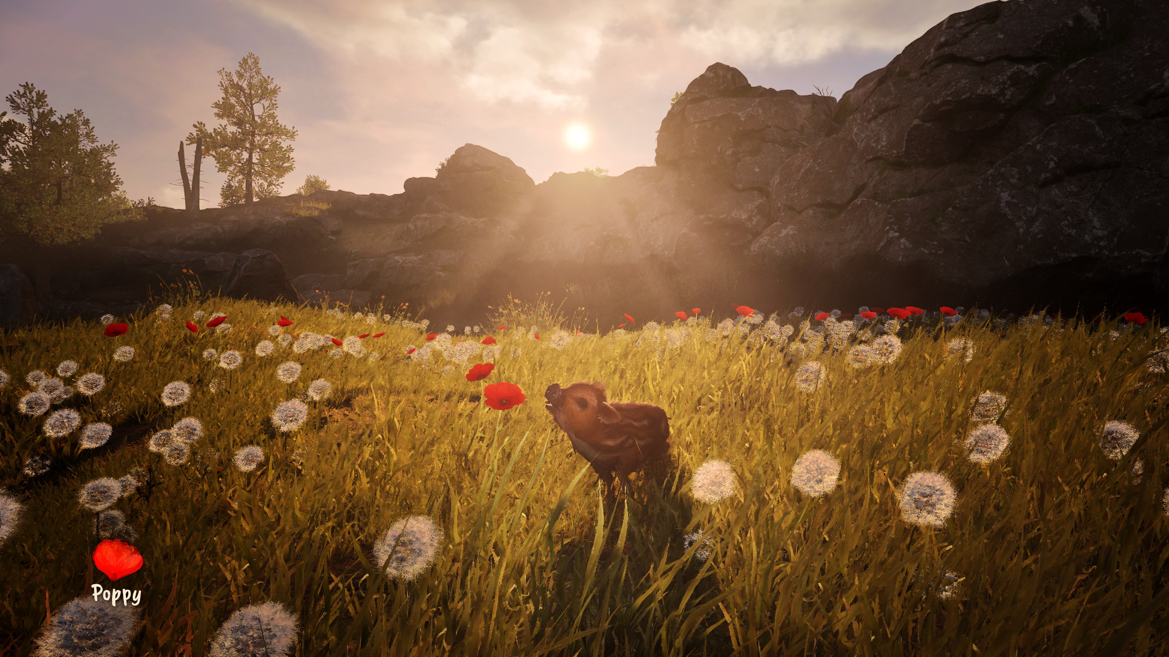 Adorable Adventures | Xbox | Chiave | Privato