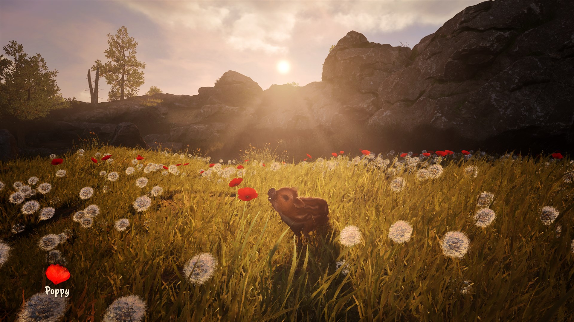 Screenshot 2 from Adorable Adventures