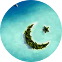 The Star And Cresent Wallpaper New Tab icon