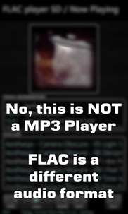 FLAC player SD screenshot 1