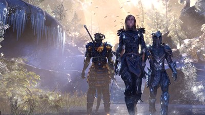 The Elder Scrolls Online: Tamriel Unlimited — скриншот 9