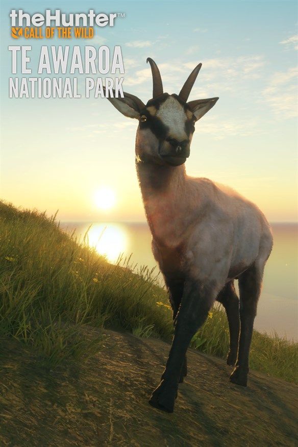 theHunter Call of the Wild - Te Awaroa National Park