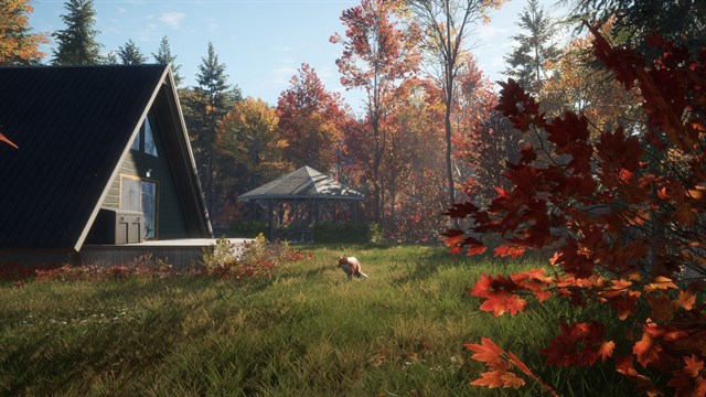 theHunter Call of the Wild - New England Mountains screenshot 3