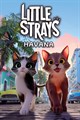 Little Strays - Havana