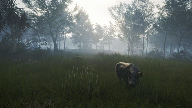 theHunter Call of the Wild - Te Awaroa National Park screenshot 3