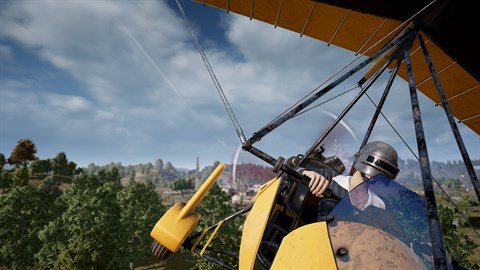 PUBG - Flower Child Pack