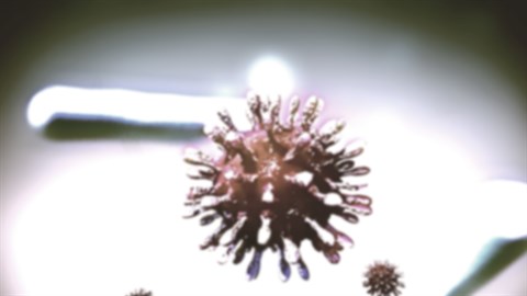 Coronavirus: Doom and Destiny 2