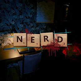 Aperçu N.E.R.D