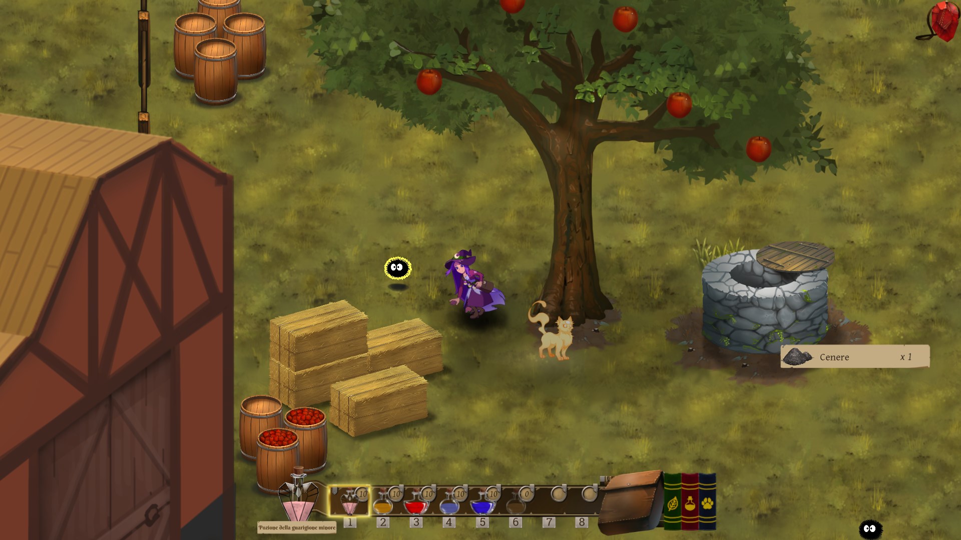 Potions: A Curious Tale | Xbox | Chiave | Privato