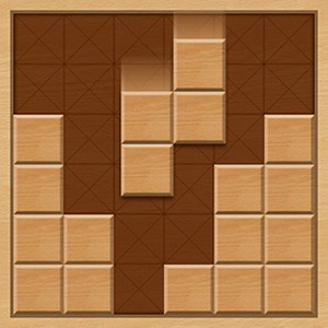 Wood Block Puzzle : 1010