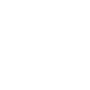 SimpleStream Premium