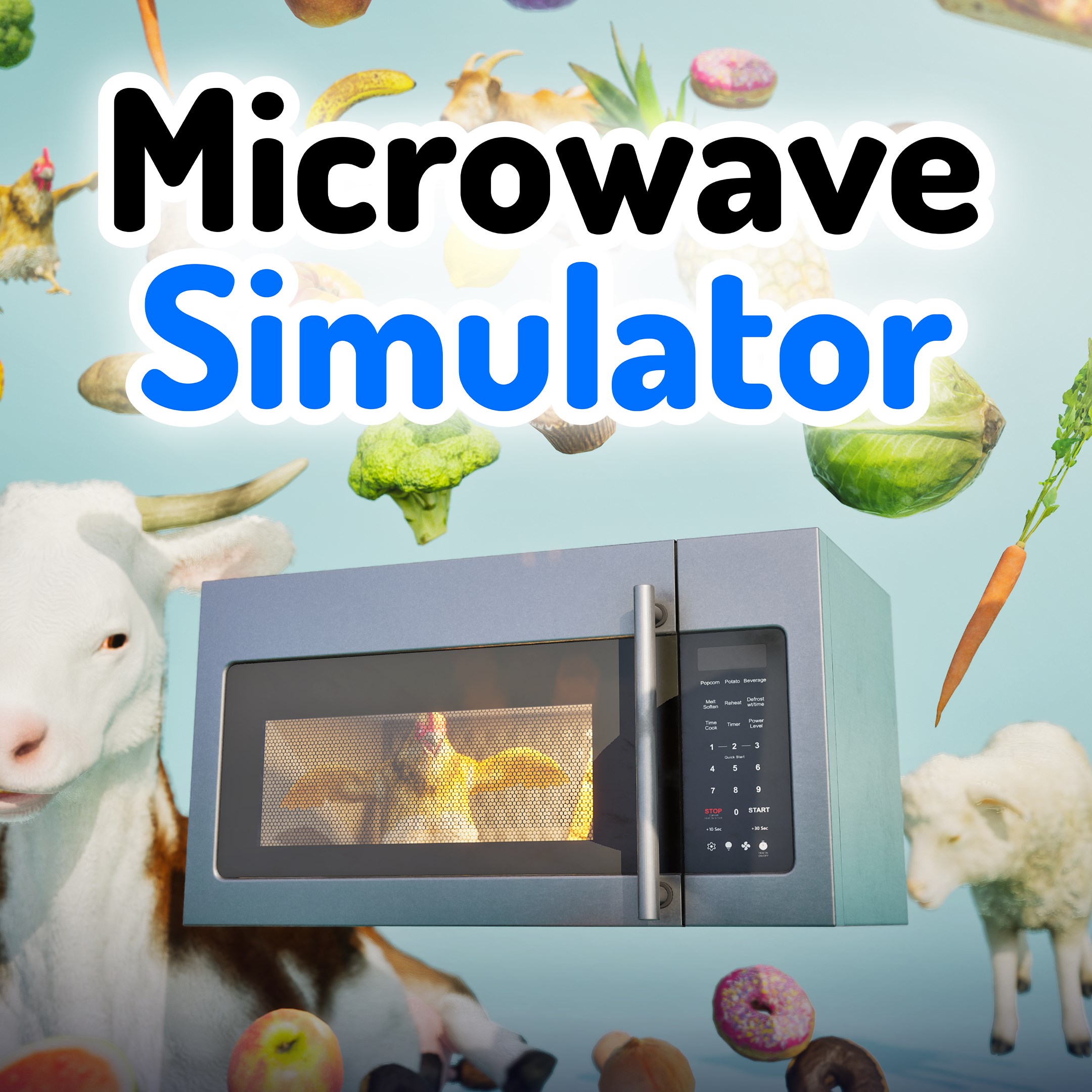 Microwave Simulator