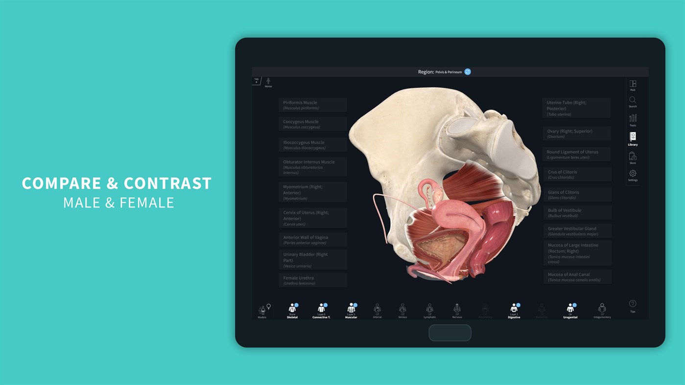 #4. Complete Anatomy 2023 (Windows) 来自: 3D4Medical