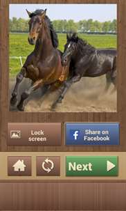 Horse Puzzles Free screenshot 6