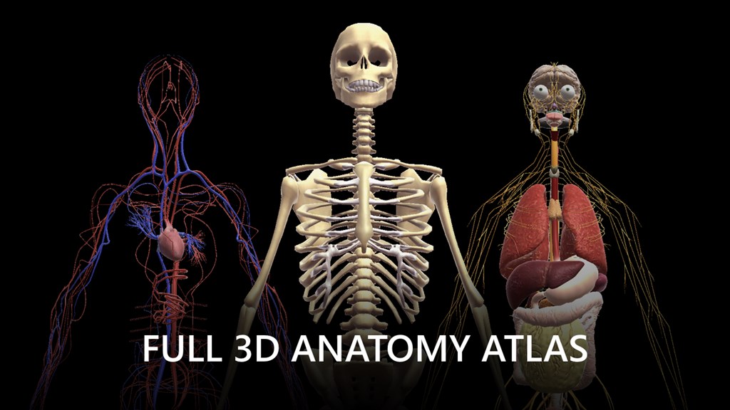 Anatomie - Atlas 3D - Anatomy 3D Atlas – Microsoft Apps