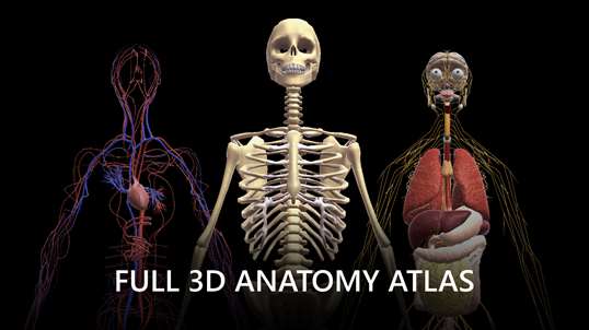 Discover Human Body - Anatomy and Physiology screenshot 1