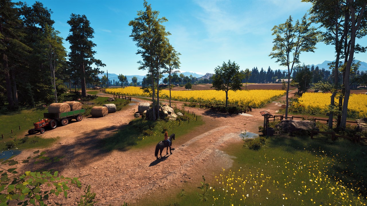 Windstorm: Start of a Great Friendship - Remastered screenshot 4