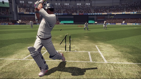 Don Bradman Cricket — 8