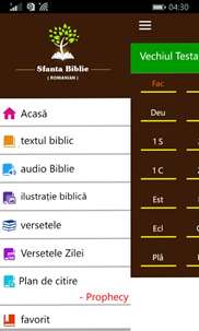 Romanian Holy Bible with Audio screenshot 4