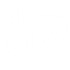IPTV
