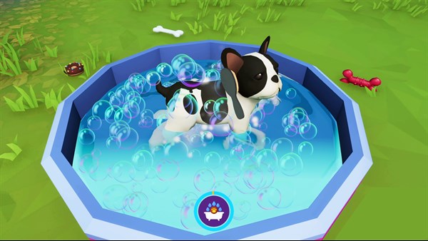 Cute Puppy Academy — 7