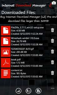 Internet Download Manager [LZ] Free screenshot 5