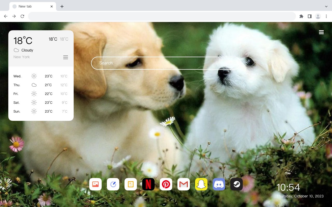 Cute Dog Wallpaper HD HomePage