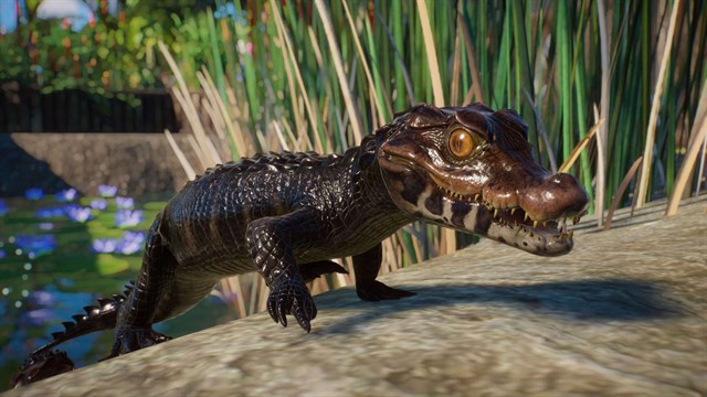 Planet Zoo: Aquatic & Twilight Bundle screenshot 1
