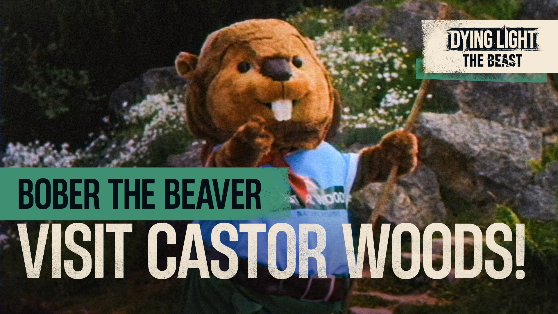 Castor Woods #1

