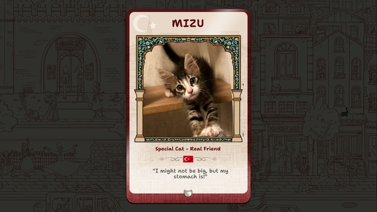 Hidden Cats in Istanbul screenshot 4