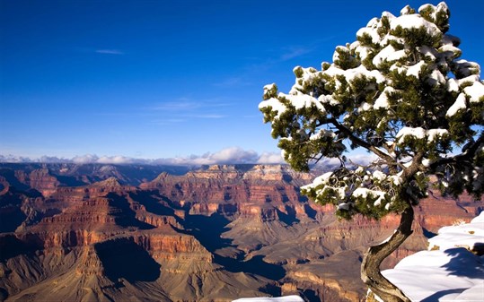 The Grand Canyon National Park screenshot 2