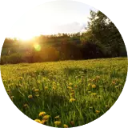 Meadows Wallpaper New Tab icon