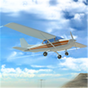 Real Flight Simulator Game