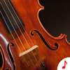 Musical Instruments Sounds