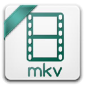 MKV MP4 Converter