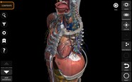 Anatomy 3d Atlas Anatomy 3D Atlas APK Download For Android Aptoide