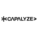 Capalyze: AI Web Scraper for Data Extraction icon