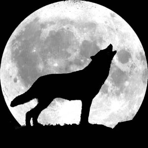Download Sons de Animais e Ringtones - FREE