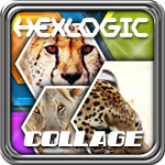 HexLogic - Collage