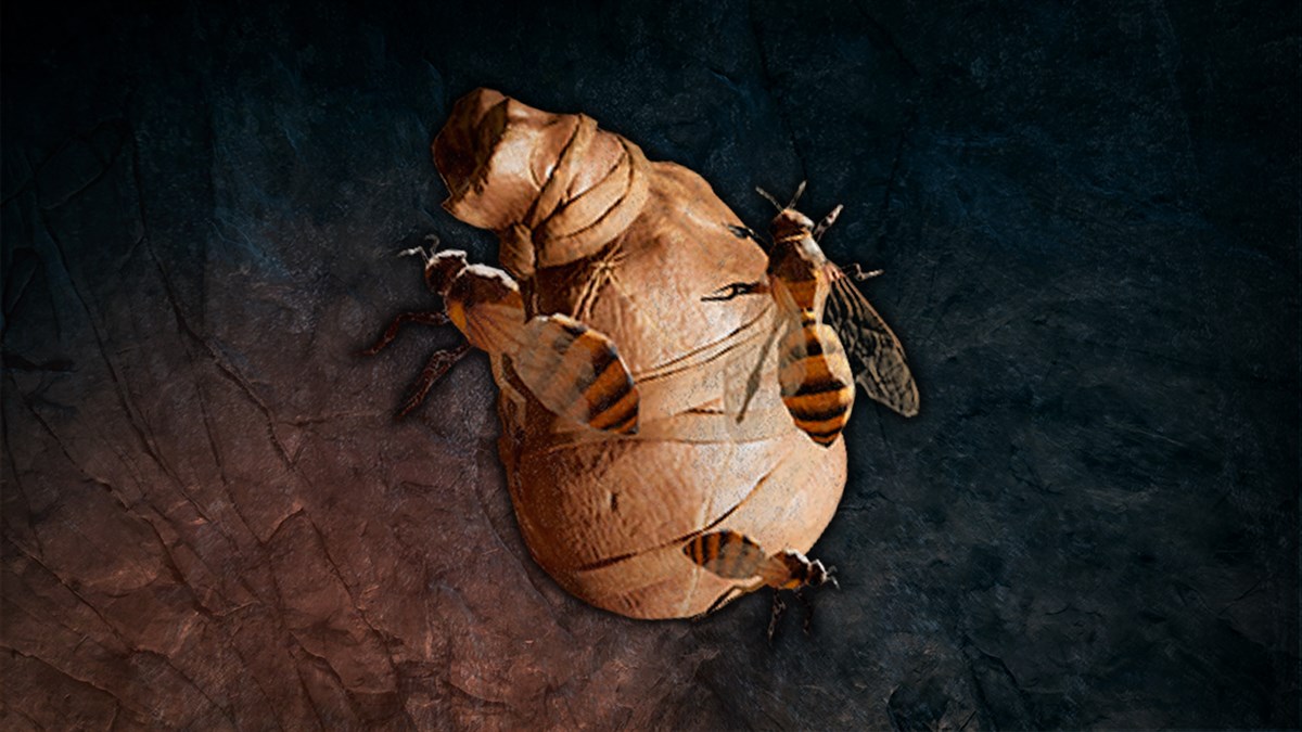 Far Cry Primal - Комплект бомб