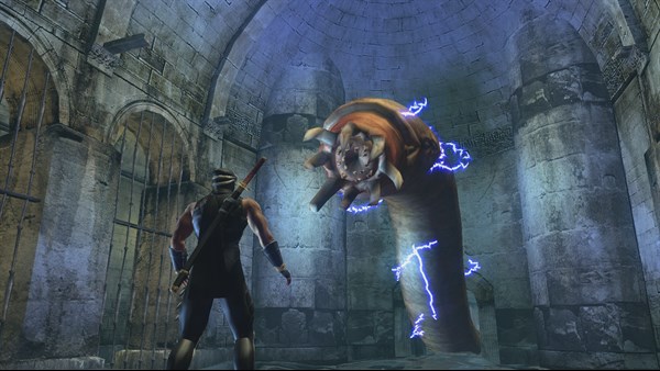 Ninja Gaiden Black — 3